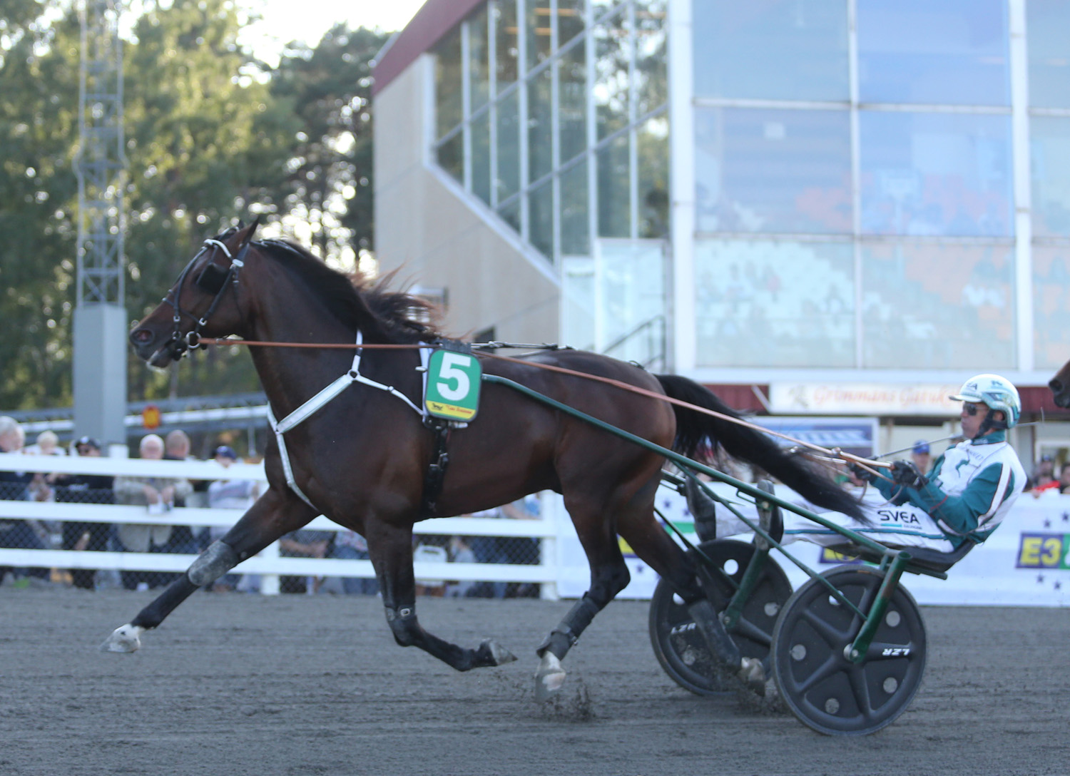Örjans 300;e seger med en häst från vårt stall, Who's Who. Foto; Viksjö Foto